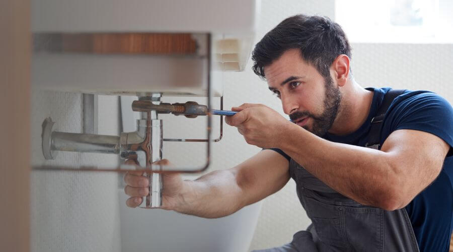 Trap Repair/Replacement in Collegeville, MN